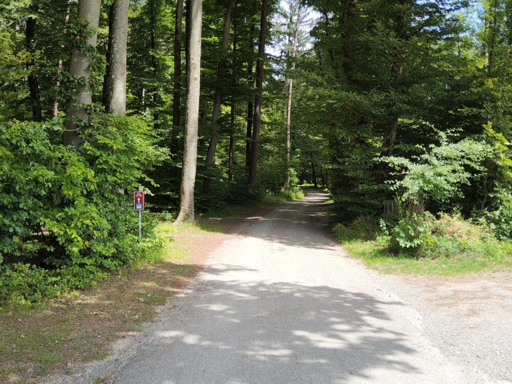 Bestehende SchweizMobil-Route durch den Wald