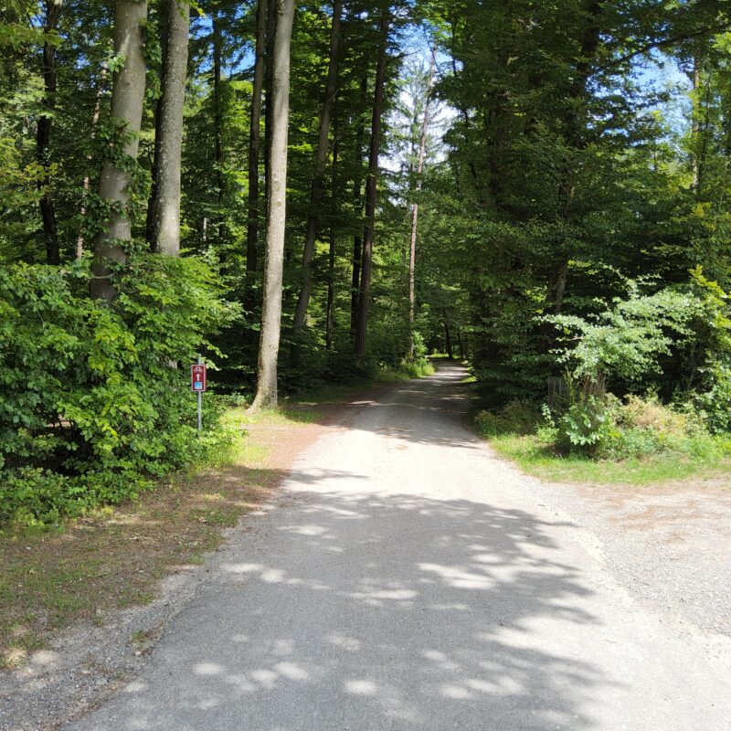 Bestehende SchweizMobil-Route durch den Wald
