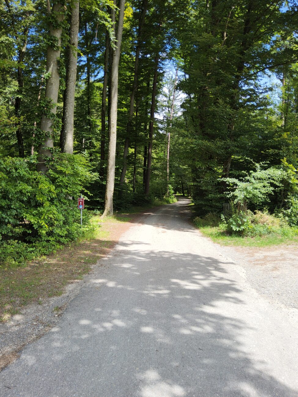 Bestehende SchweizMobil-Route durch den Wald